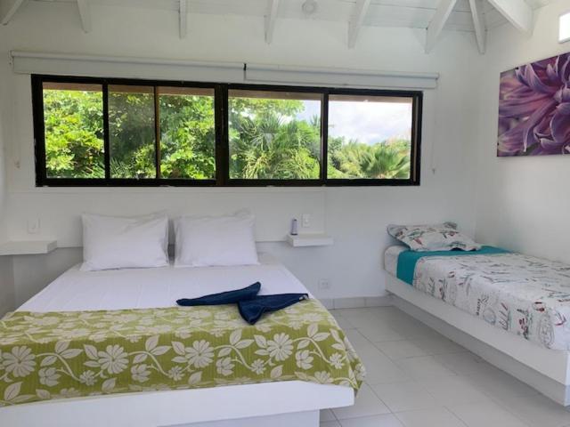 Casa De Las Flores Tropical San Andrés Exteriér fotografie