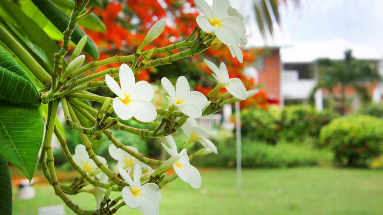 Casa De Las Flores Tropical San Andrés Exteriér fotografie